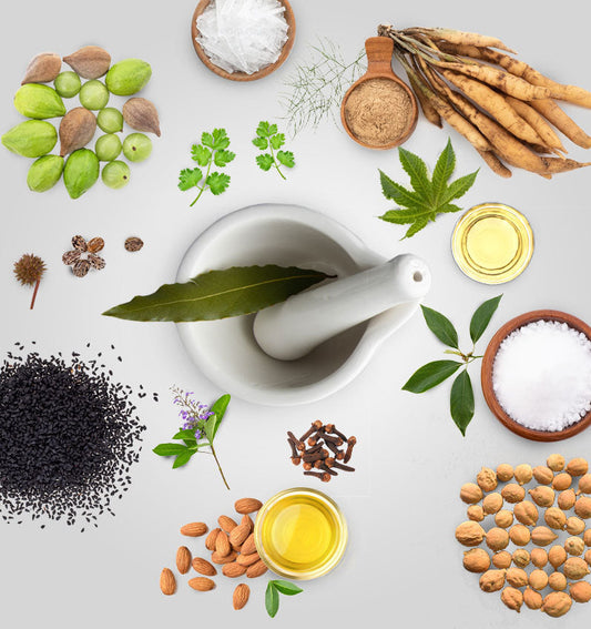 The Ultimate Guide to Gut and Urinary Tract Health: Prevention Strategies